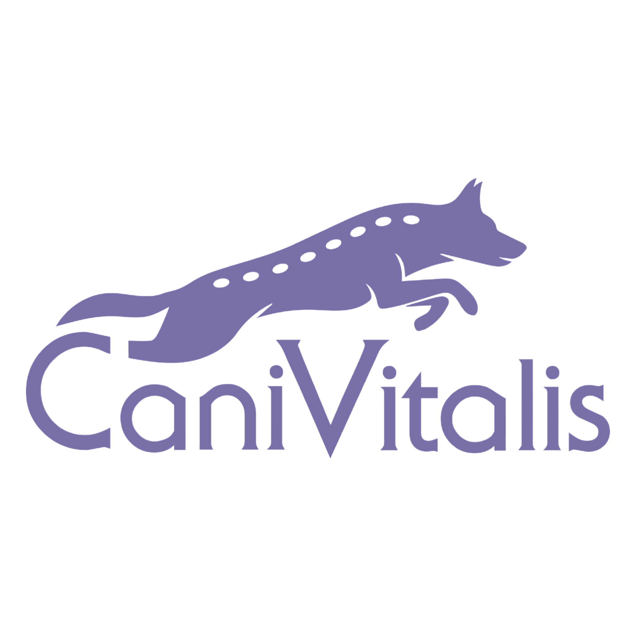 cani-vitalis.de - Gesunderhaltung von Körper, Geist & Seele